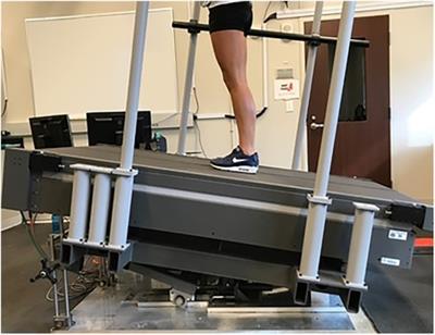 Incline and decline running alters joint moment contributions but not peak support moments in individuals with an anterior cruciate ligament reconstruction and controls